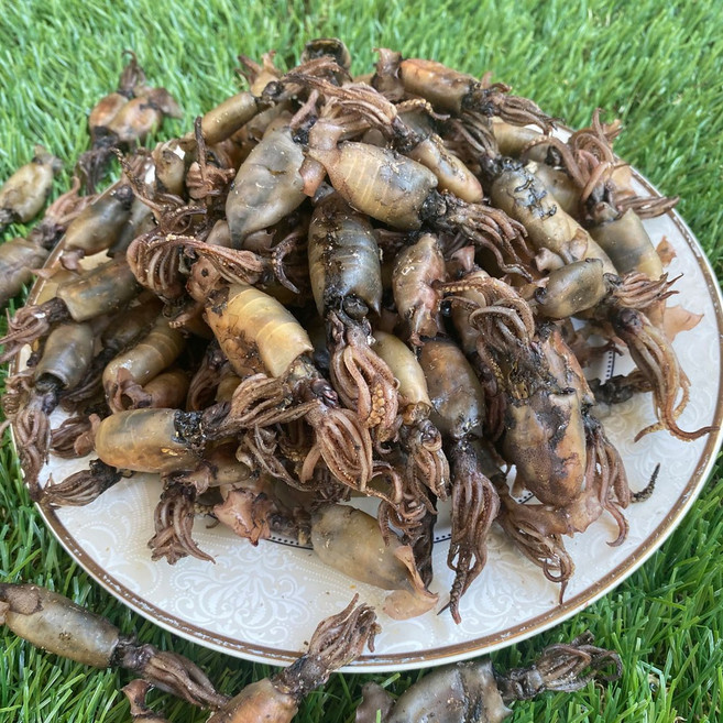 신건호멸치 국산 햇 먹물꼴뚜기 / 밑반찬 술안주 건꼴뚜기 먹꼴뚜기, 500g, 1box