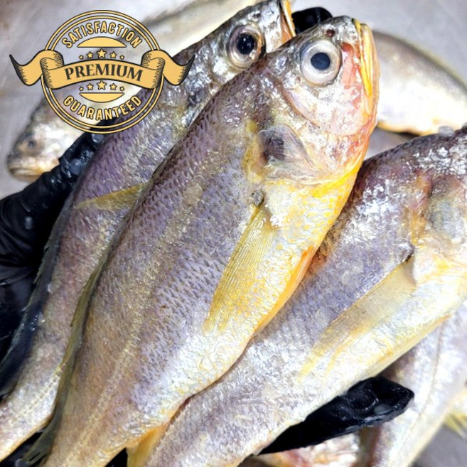 [재구매율이 높은 여수 참조기] 국내산 여수 참조기 저렴 가정용 식당용, 1박스, 가정용 급냉 참조기 1000g 내외 (16~20미)