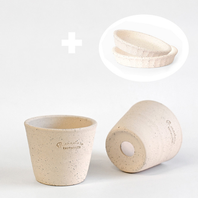 마이플랜트 로자리안 쿠앤크 컵콩분 8호, 1개