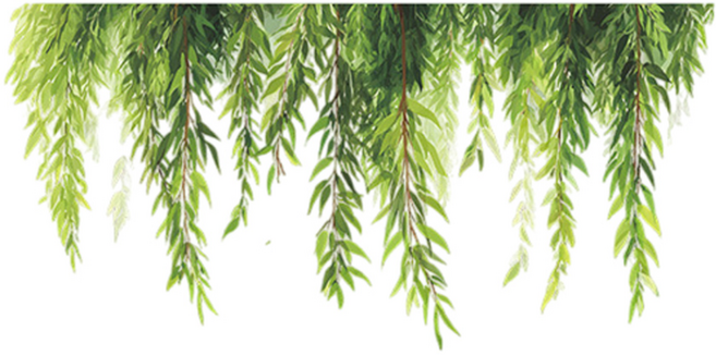 월간리빙 인테리어 데코 창문 포인트 식물 스티커, 그린C