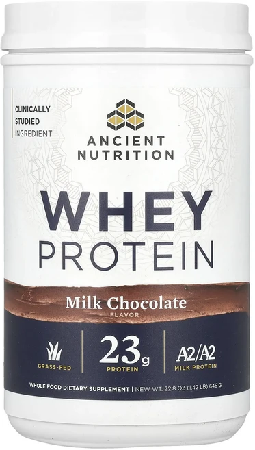 새해 건강을 선물하세요 Ancient Nutrition 유청 단백질 밀크 초콜릿 646g(1.42lb) 특별관리진행, AncientNutrition유청단백질밀크초콜릿646g, 646g, 1개 - 쿠팡