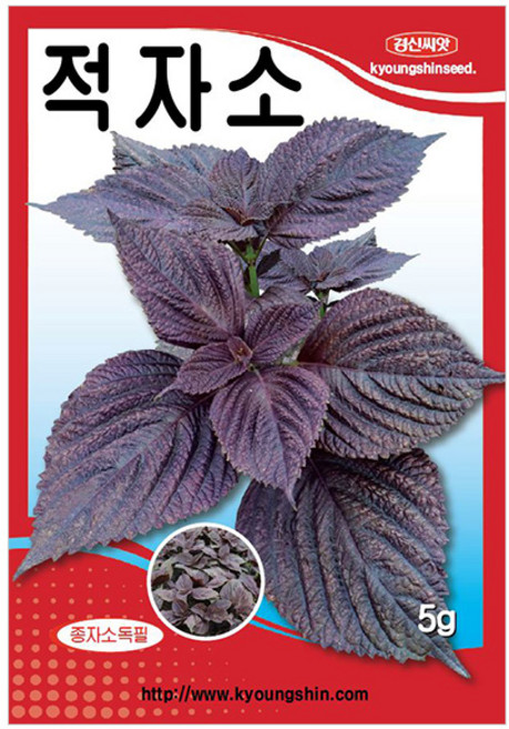 세인화분 국산 적자소 5g - 자소엽 차조기 깨 씨 씨앗 채소 야채, 1개