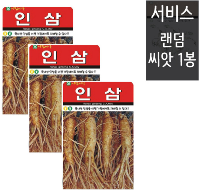 인삼씨앗 100립 ( 3봉 + 랜덤씨앗1봉 ) 인삼 약초씨앗 국내산 햇종자 약초씨, 1개