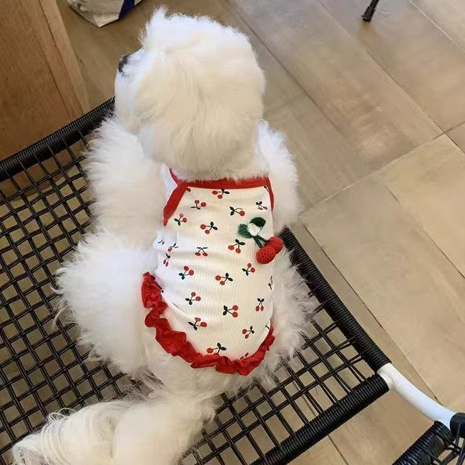 보리셀럽 반려동물 봄 여름 스타일 체리 나시, 1개, 화이트