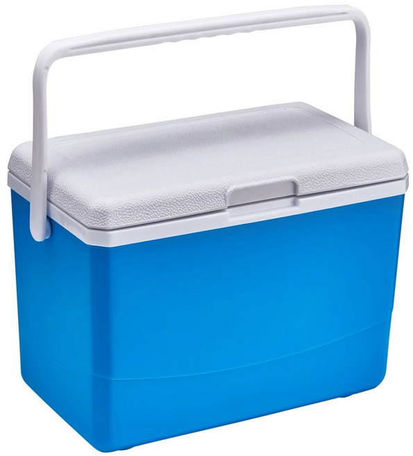 새로운 6L 휴대용 소형 미니 냉장고 12V 차량용 냉장고 냉동고 캠핑 여행용 전기 쿨러 박스 여름 야외 냉장, 01 6L 12V WHITE