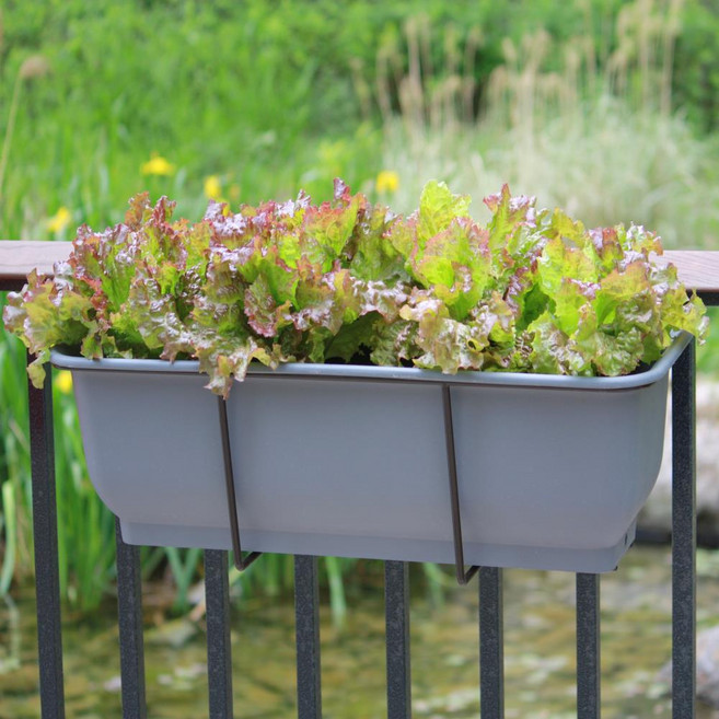 [담따] 하우스팜 텃밭가꾸기 플라스틱 대형화분, 하우스팜+거치대(화이트), 1개