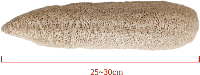 지구살림 국산 100% 친환경 천연 수세미 국내 농장 재배, 1세트, 1개입