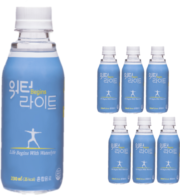 워터라이트 * 마시는 수액 음료 / 마시는 포도당 / 한국식품기술대상 동상, 230ml, 6개