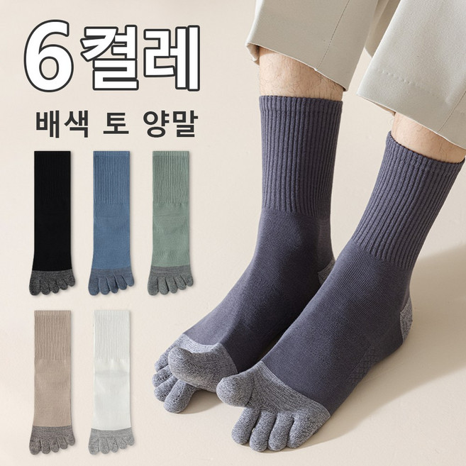 6켤레 남성 일반 사계절 심플한 컬러 터치 컴포트 면 양말 패션 스쿨룩 10A 항균 방취 비즈니스 발한 포인트 양말 중목