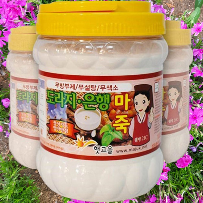 햇고을 도라지 은행 마죽 가루, 800g, 1개