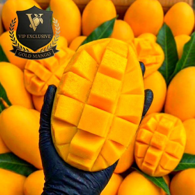 [백화점납품] 20brix 초고당도 프리미엄 브랜드 골드망고, 1박스, 2kg