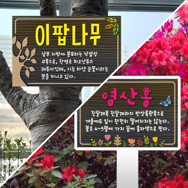 티네유 수목표찰 나무이름표 식물이름표, 화단팻말, Design No. 02, 1개, 걸이형 Design No. 02