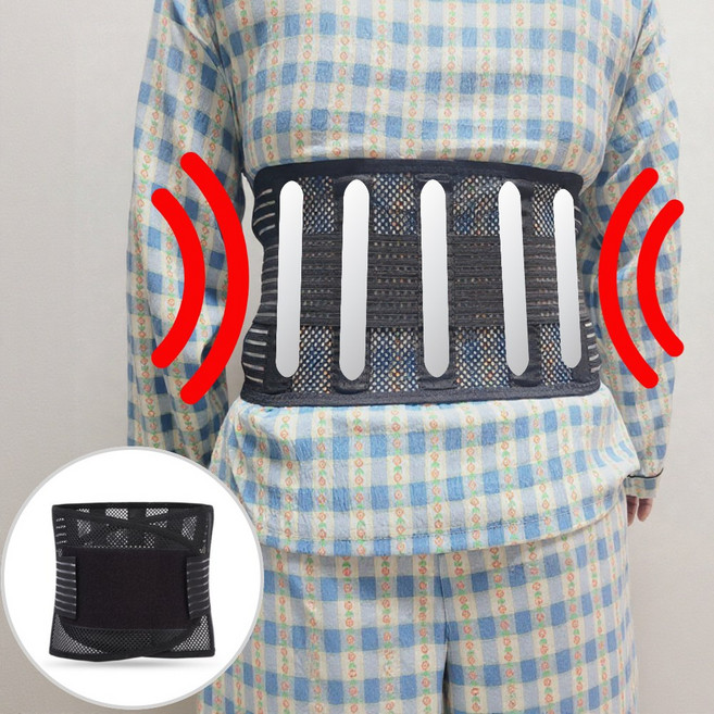 크로니 메쉬 벨트 통기성 5개의 직강판 허리보호대 허리 복대 지지대, 1개