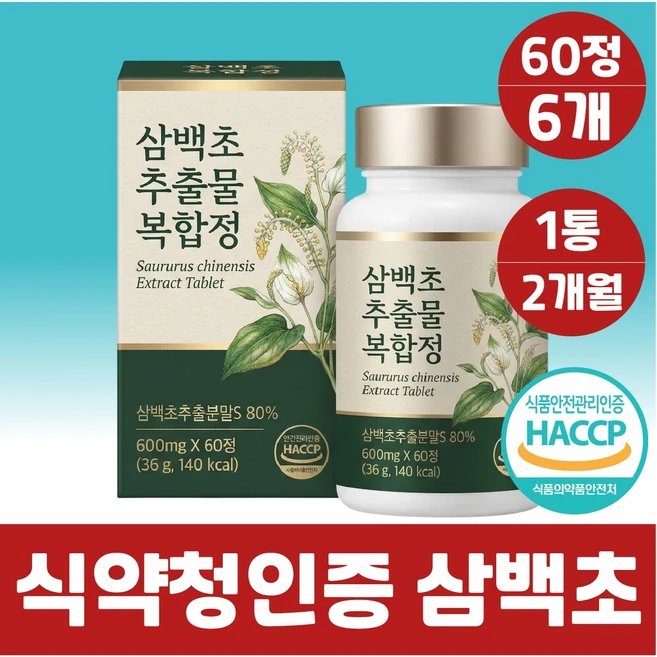 비염 삼백초 추출물100% 식약청인증 정품 파이토 정 알약 삼백초추출물, 6박스, 60정 - 쿠팡
