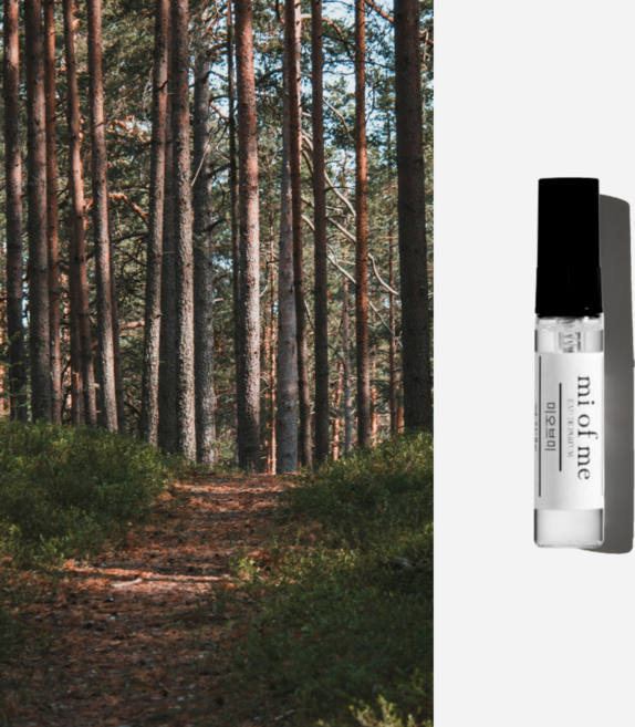 미오브미 휠 니치 향수 오드퍼퓸, 1개, 5ml