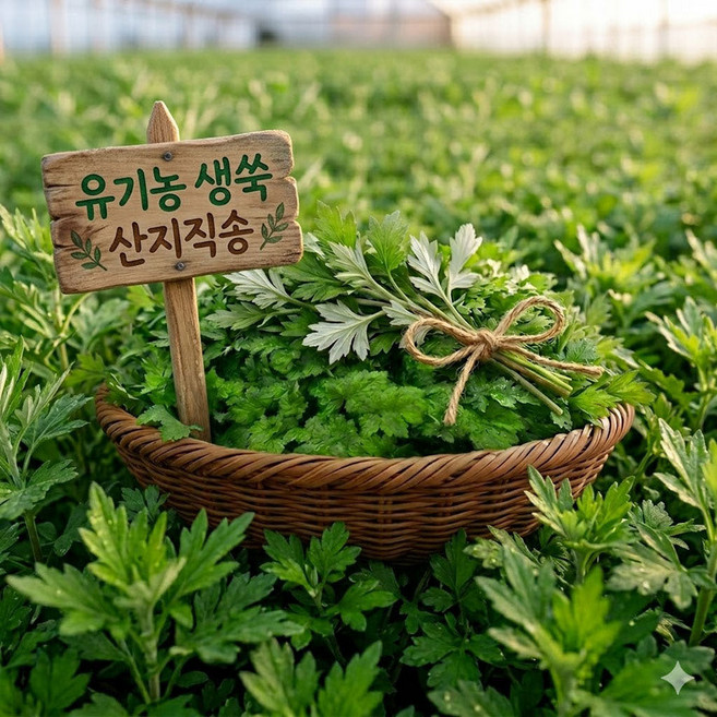 당일수확 산지직송 2026년 국산 함평 유기농 생쑥 2kg 무농약 하우스 제철 봄나물 쑥, 1박스