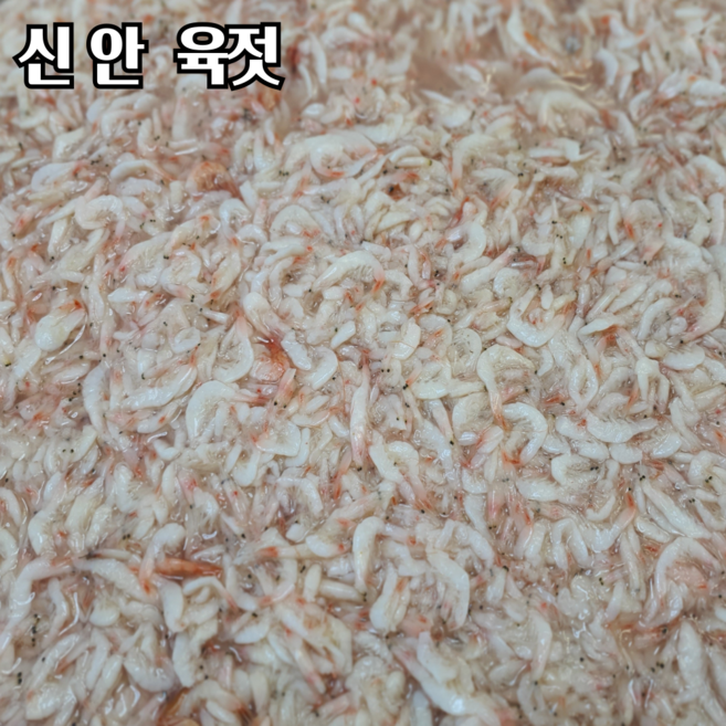 옹진젓갈 국산 신안새우젓 육젓 국내산천일염100%사용 상급품, 1개, 500g