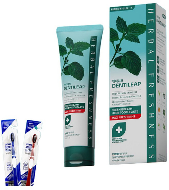 덴티리프 맥스후레쉬 구취케어 치약 120gx4입 + 슈퍼클린 칫솔 2개, 4개