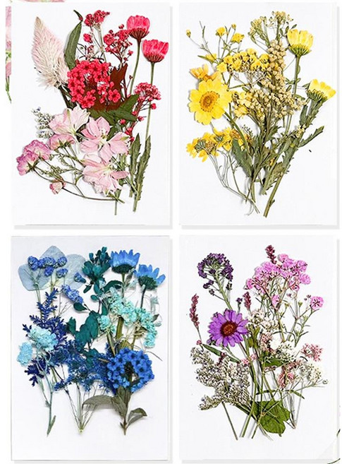 압화 줄기꽃 만들기 공예 미술재료 7살 초등diy 모형 아이 유아 6세 초5