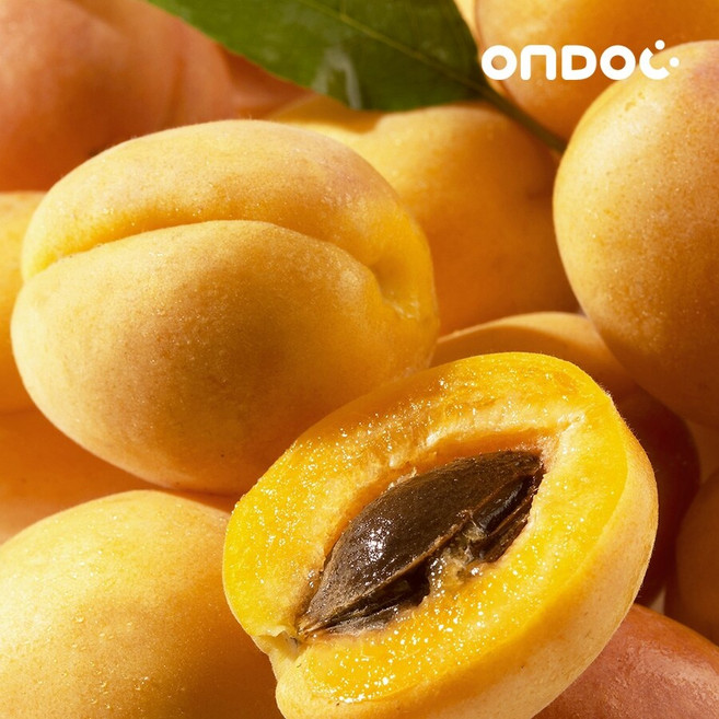 [온도씨] 새콤달콤 첫 노지 살구 중소과 1kg (30개내외), 1개