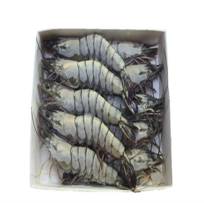 블랙타이거 새우 10미 500g 냉동 얼룩새우 킹 대왕 킹타이거새우, 1개