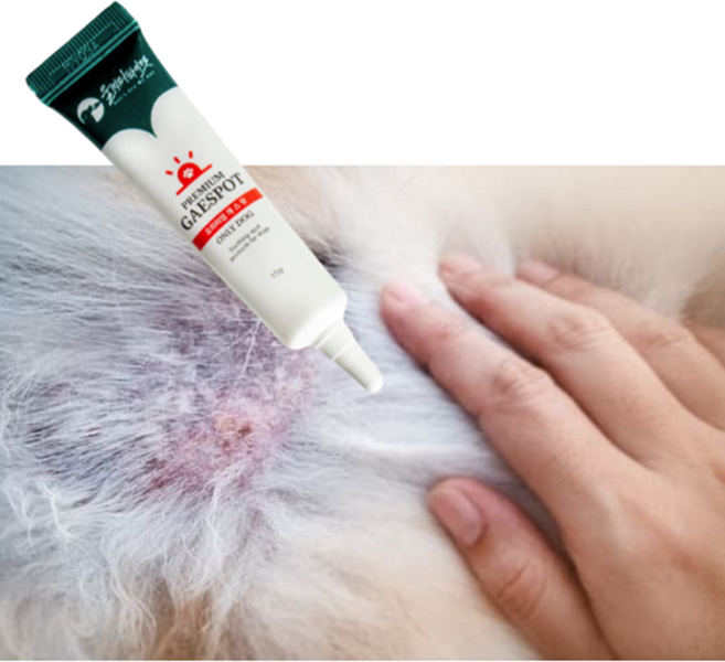 강아지 농피증 피부 피부병 딱지 삼퓨 영양제 피지낭종 강아지 뾰루지, 1개