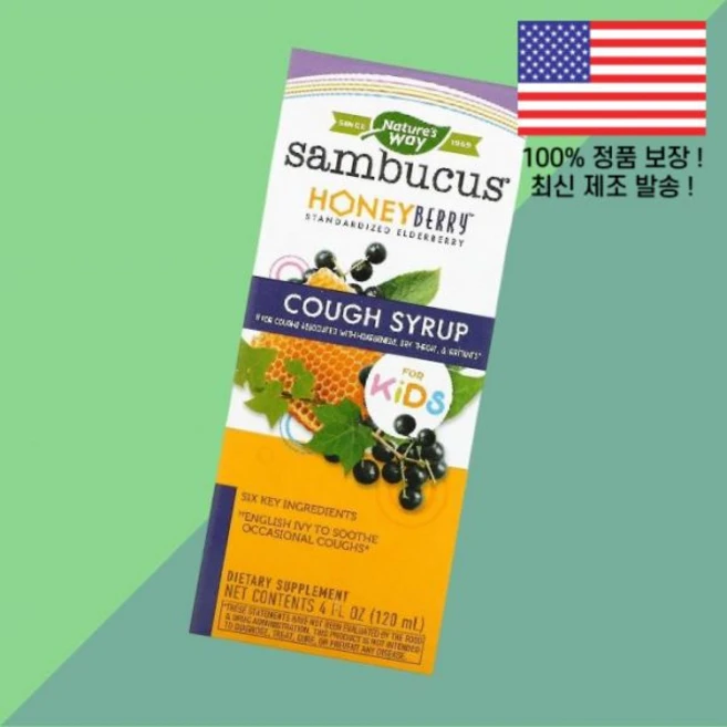 네이처스 웨이 어린이 칠드런 키즈 아이 삼부커스 꿀 허니베리 코흐 시럽 4온스 120ml Nature's Way Sambucus for Kids HoneyBerry Cough, 네이처스 웨이 어린이 칠드런 키즈 아이 삼부커스 꿀 허 - 쿠팡