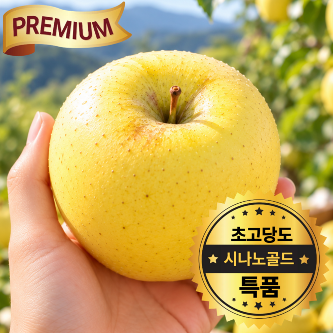 [2026년 햇 시나노골드사과]청송 프리미엄 특품 시나노 골드 사과 정품 대과, 1박스, 5kg (특품 대과)