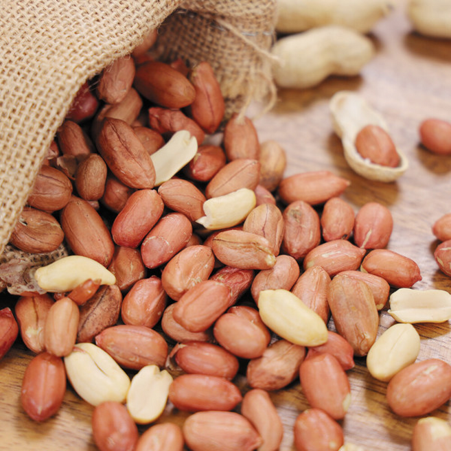 100% 국내산 여주특산물 볶음땅콩 25년 햇땅콩 지퍼팩, 1개, 1kg