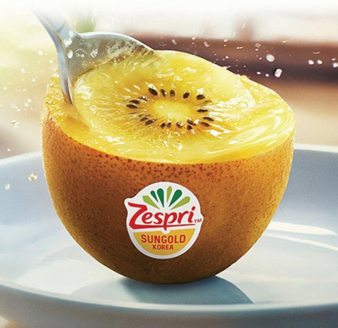 제스프리 제주 골드키위 특대과 2.1kg (15입 개당 140g내외), 15개