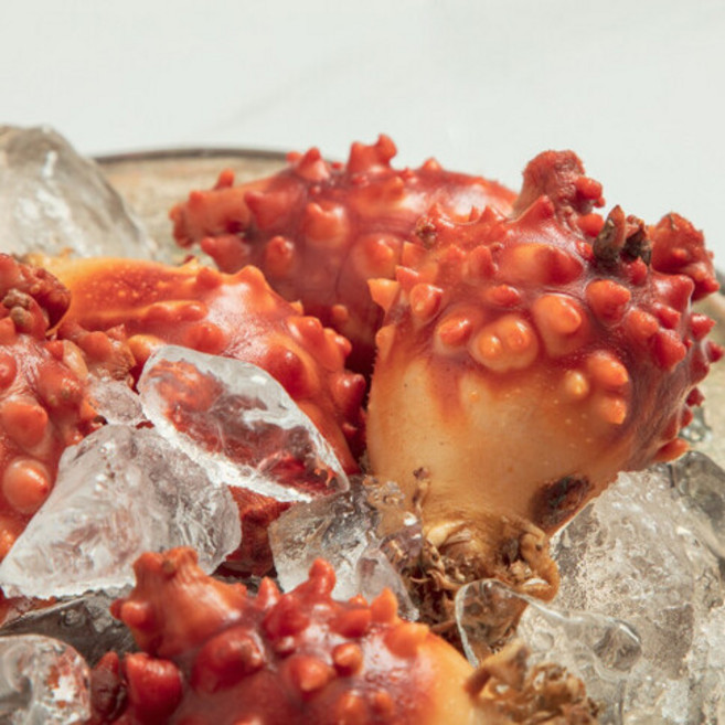 제철 멍게 햇멍게 꽃멍게 깐멍게 알멍게, 1개, 활멍게(20-24미) 2kg