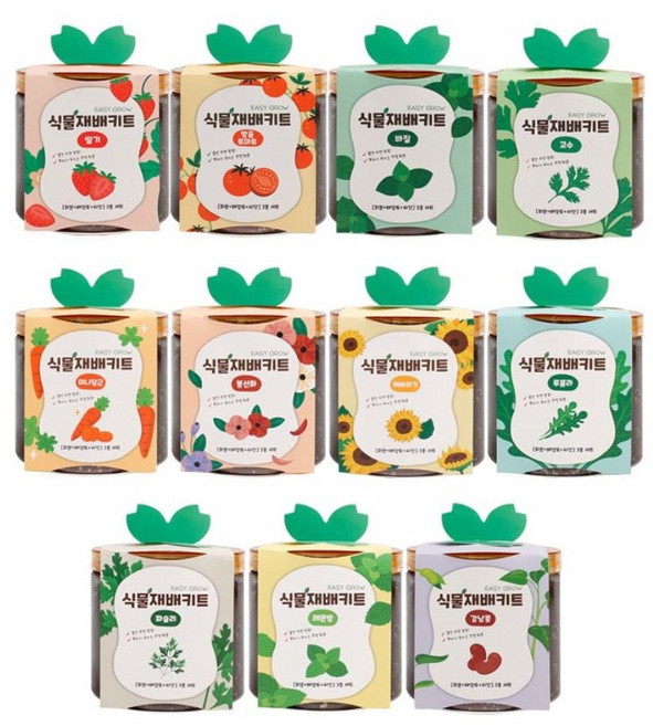 잔솔 식물 재배키트 채소 딸기 당근 토마토 씨앗 꽃씨, 고수, 1개