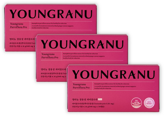 식약청 인증 영라뉴 파비플로라 추출물 다이어트 블루베리 흑후추 추출물 퀘르세틴, 3개, 14정