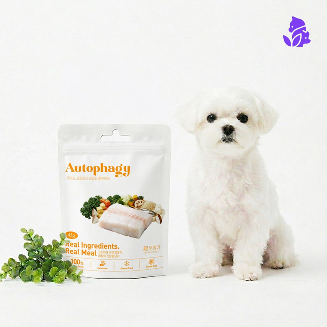 펫퍼플 인푸드 오토파지 데일리 케어 동결건조 소고기 닭고기 명태 강아지 사료 간식 애견 애완, 1개, 45g, 북어