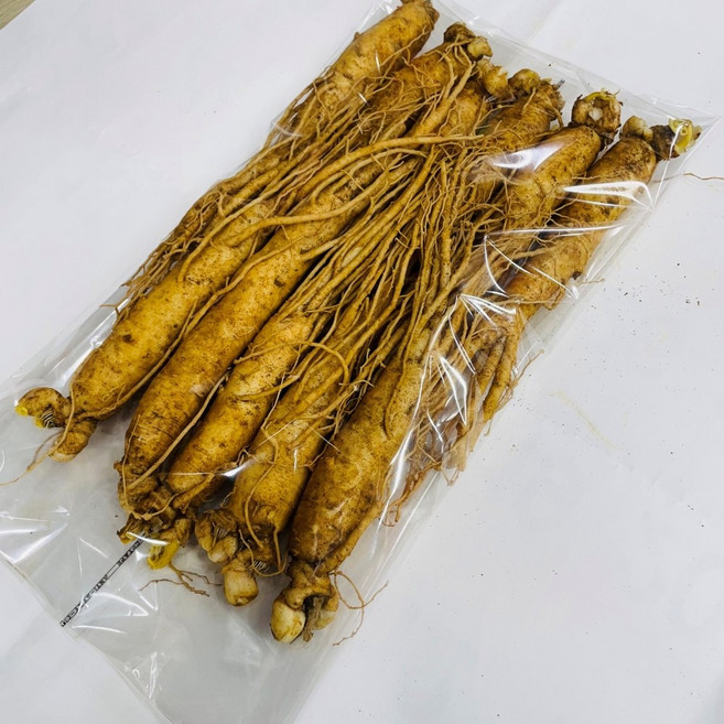 실속형 6년근 5년근 인삼 10뿌리내외 신선 식품비닐 포장 한보인삼사, 7세트, 630g