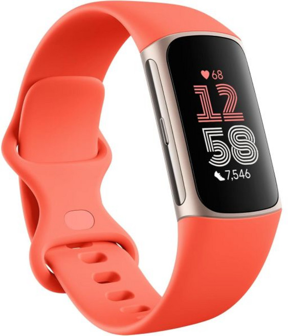 피트니스 트래커 트랙커 홈트용 측정 심박수 GPS 프리미엄 멤버십 건강 도구가 포함된 Fitbit 차지 6 도자기실버 x 갱신, Gold Case w/ Red Band, Tracker, 1개, Gold Case w/ Red Band