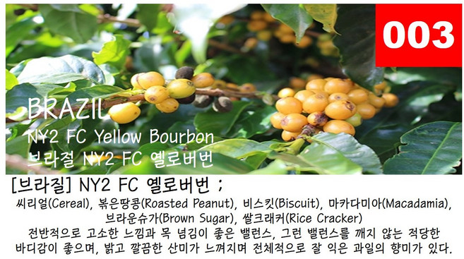 [브라질] NY2 FC 옐로버번, 170g, 1개