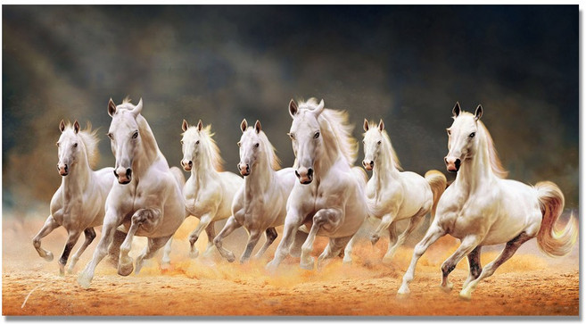 7 흰색 달리기 말 캔버스 회화 동물 포스터 및 벽 예술 그림, 82248, 30x60cm No Frame