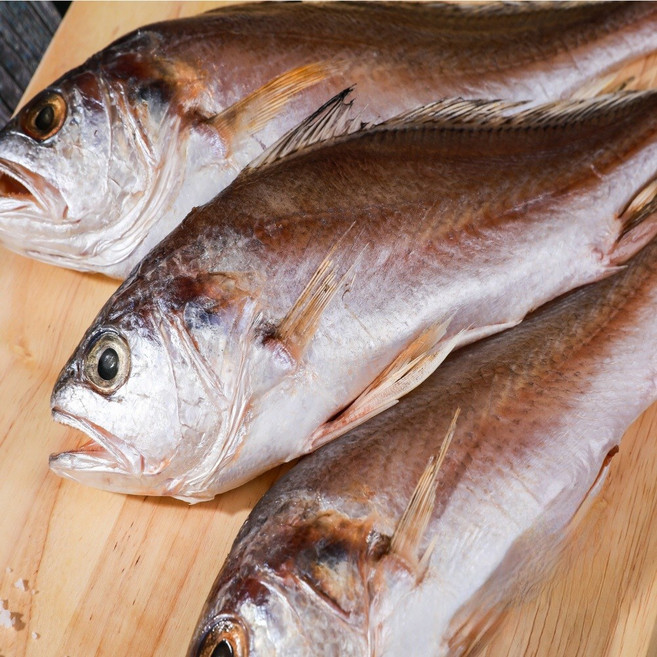 반건조 침조기 손질되어 먹기 편한 신안 천일염으로 간이 된 침조기 긴가이석태 6마리 또는 10마리 말린생선, 23~24cm 10마리, 1개