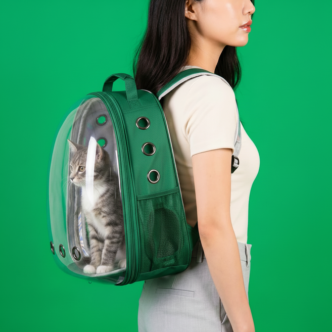 우아지오 반려동물 투명 외출가방 우주선 백팩, 1개, 그린