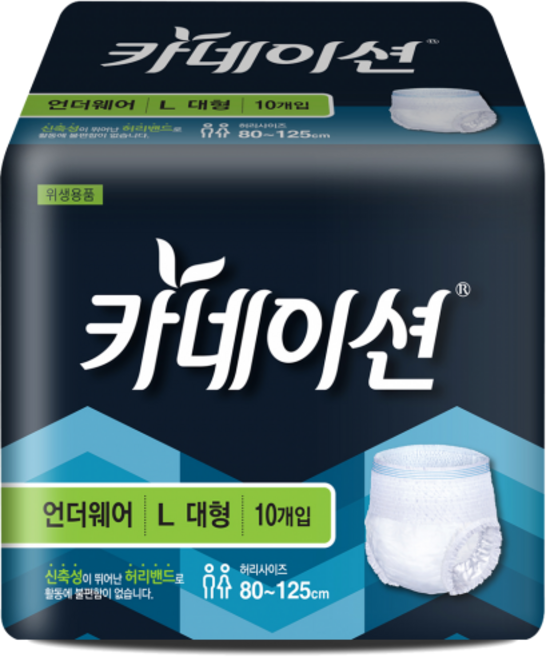 카네이션 성인용기저귀/팬티형/언더웨어/L/대형(허리사이즈 80-125cm) 10매X16팩, 대형, 10개입, 6개