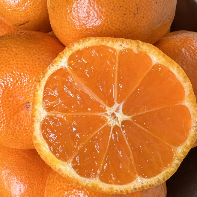 [캘리포니아산] 고당도 A급 만다린 탱고 머콧 감귤 로얄과, 1박스, 3Kg