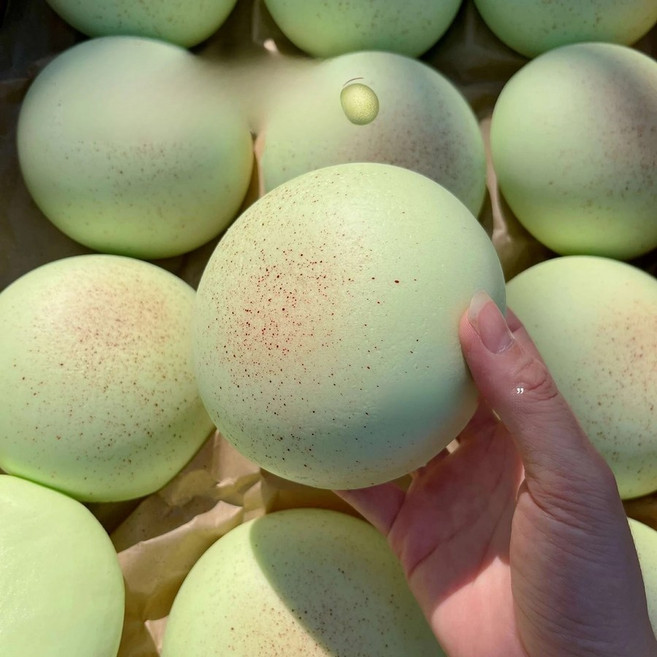 부드러운 딸기 치즈 빵 스퀴시 말랑이 쫀득한 모찌, 녹색