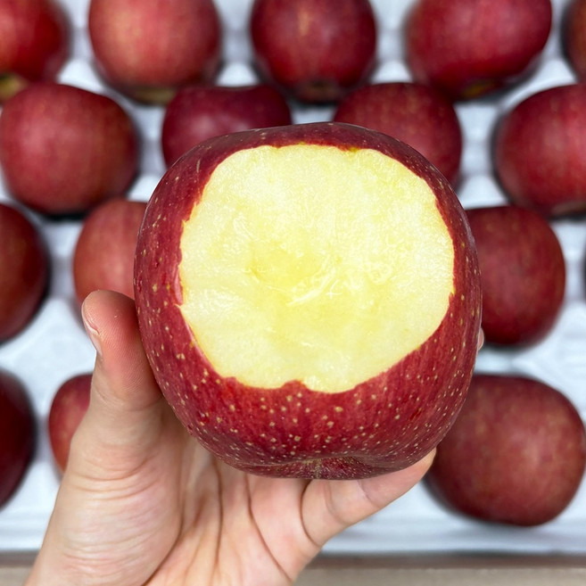 과즙뚝뚝 재구매율높은 부사 사과 가정용, 1박스, 5kg