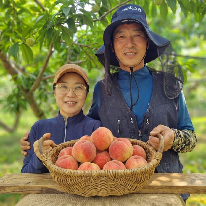 팔도명인 고당도 김천 복숭아, 1박스, 털복숭아 2kg (소과/13~18과)