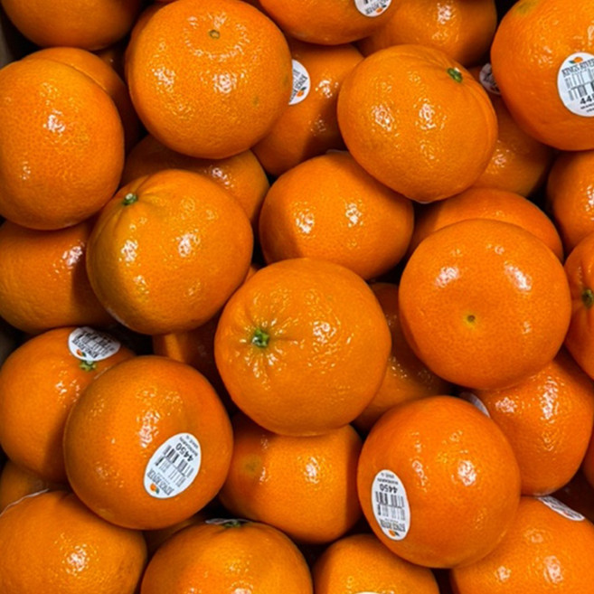 미국귤 고당도 만다린10kg 가성비 오렌지맛 달달한 제철과일, 1개, 만다린3kg