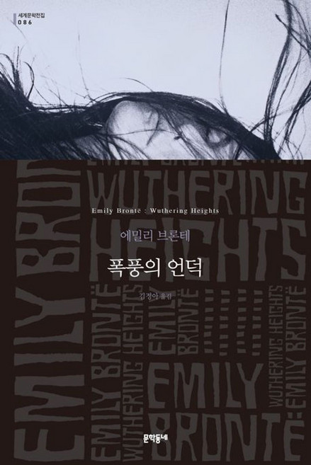 폭풍의 언덕 (문학동네 세계문학전집 86), 폭풍의 언덕 (무선)