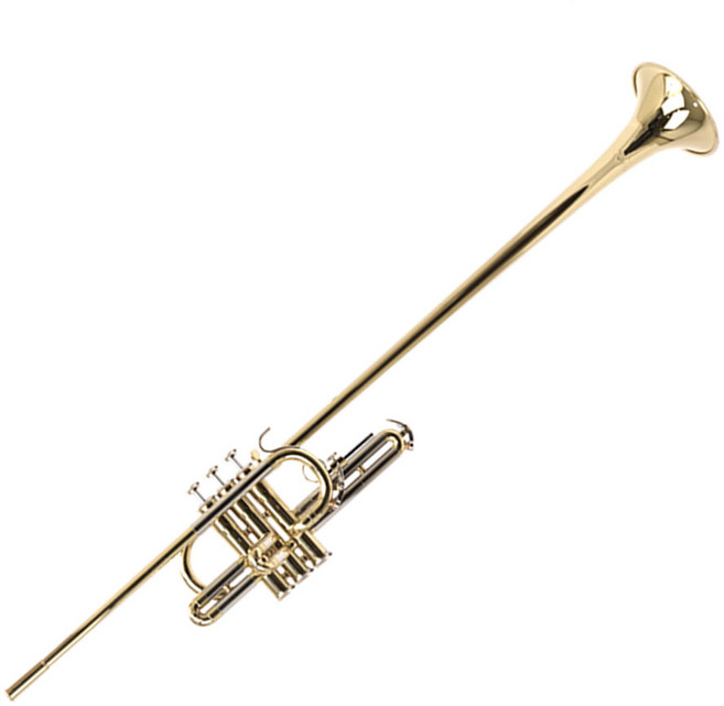 Blessing 헤럴드 트럼펫 / Herald Trumpet / 팡파레 / 블레싱, 1개