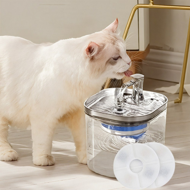 Bornoon 고양이 정수기 강아지 자동 급수기 2L 애견 음수대+필터 2p, 1개, 반투명, WF040