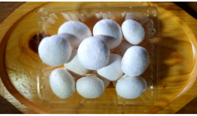 무농약 친환경 부여 양송이버섯 특품, 1박스, 1kg